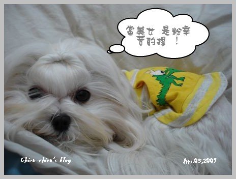 nEO_IMG_DSC07621.jpg