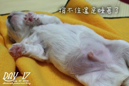 哥哥_14.jpg