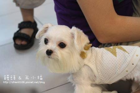 饅頭五小福見面會_80.jpg