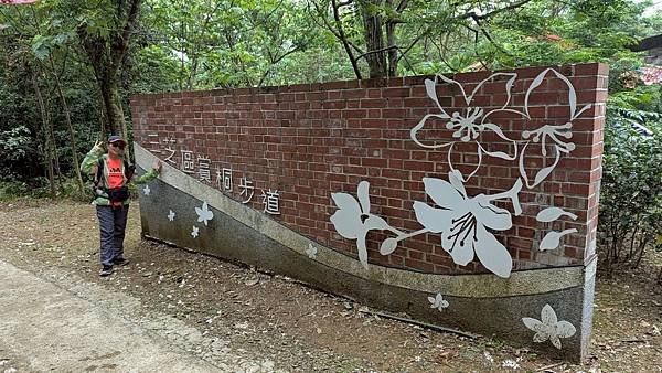 114.05.04三芝桐花步道-百年田梯步道-大鵬足湯公園之