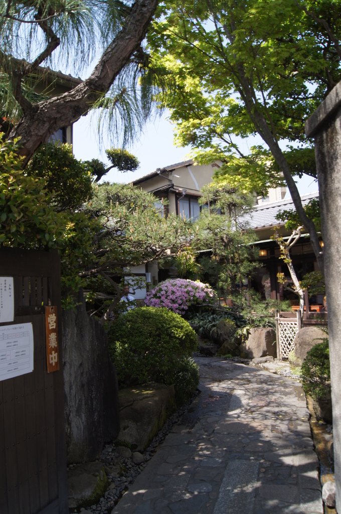 DSC08445.JPG