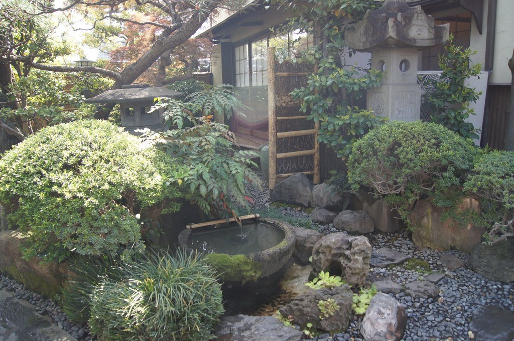 DSC08452.JPG
