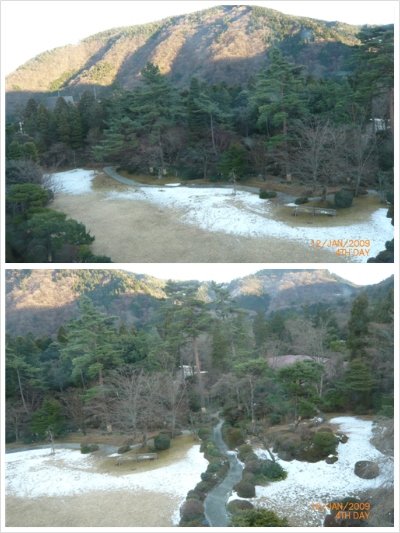 garden.jpg