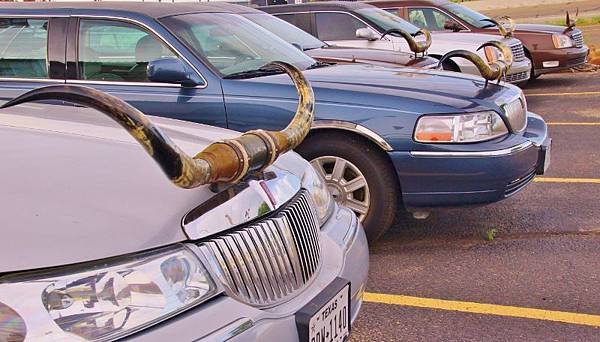 DSC01636 (800x456).jpg