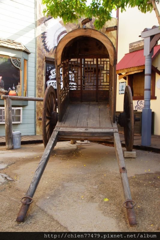 DSC01886 (533x800).jpg