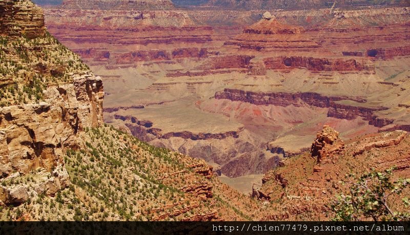 DSC02120 (800x459).jpg