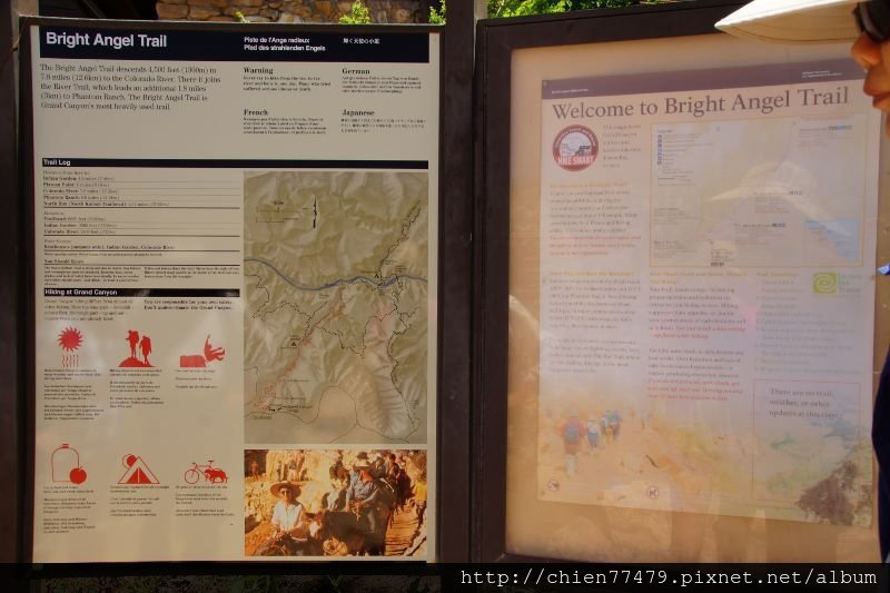 DSC02130 (800x533).jpg