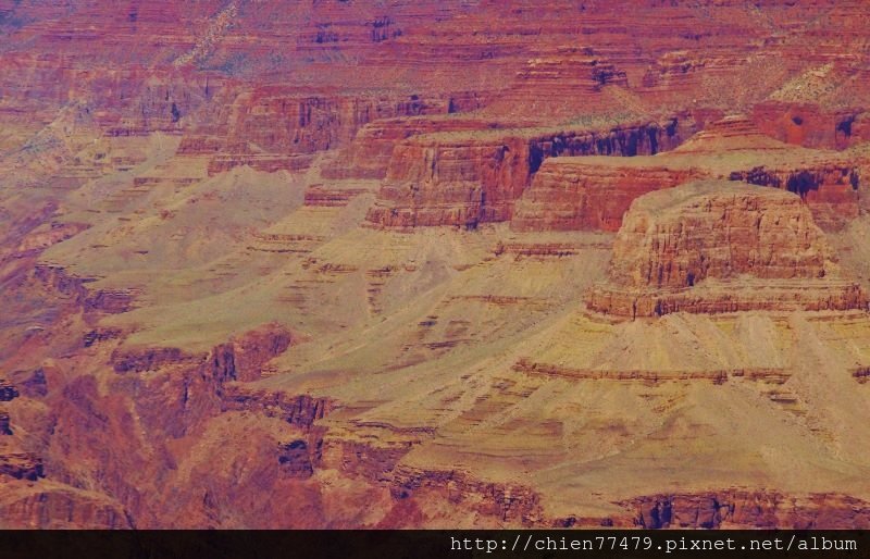 DSC02159 (800x514).jpg