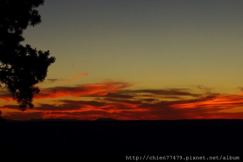 DSC02229 (800x534).jpg