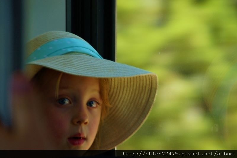 DSC02258 (800x533).jpg