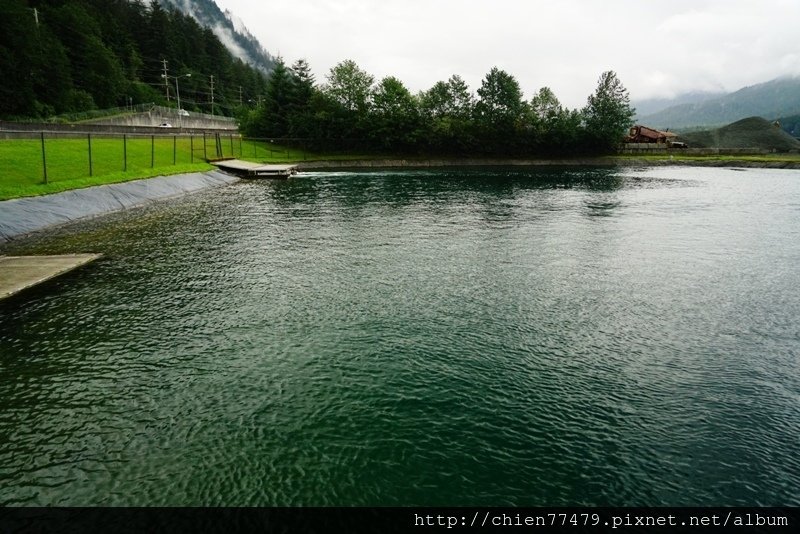 DSC02420.JPG