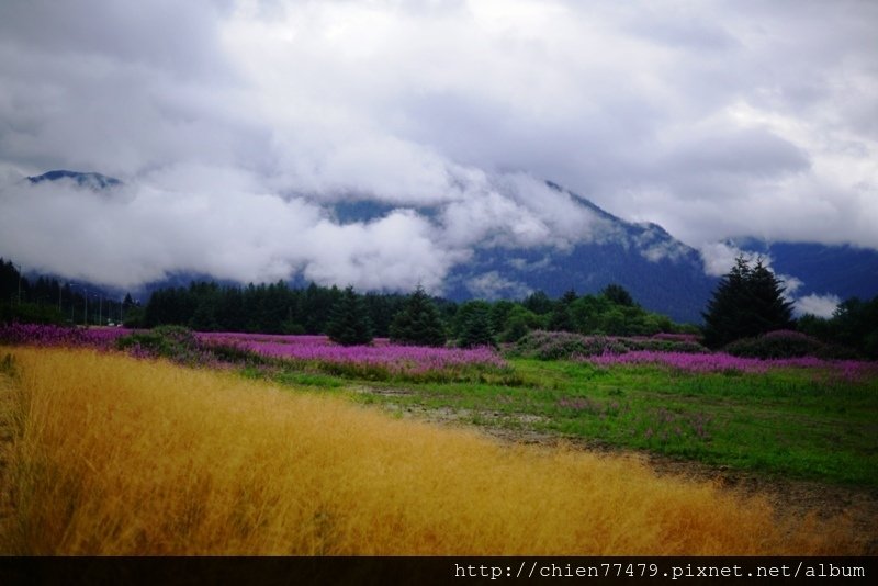 DSC01358.JPG