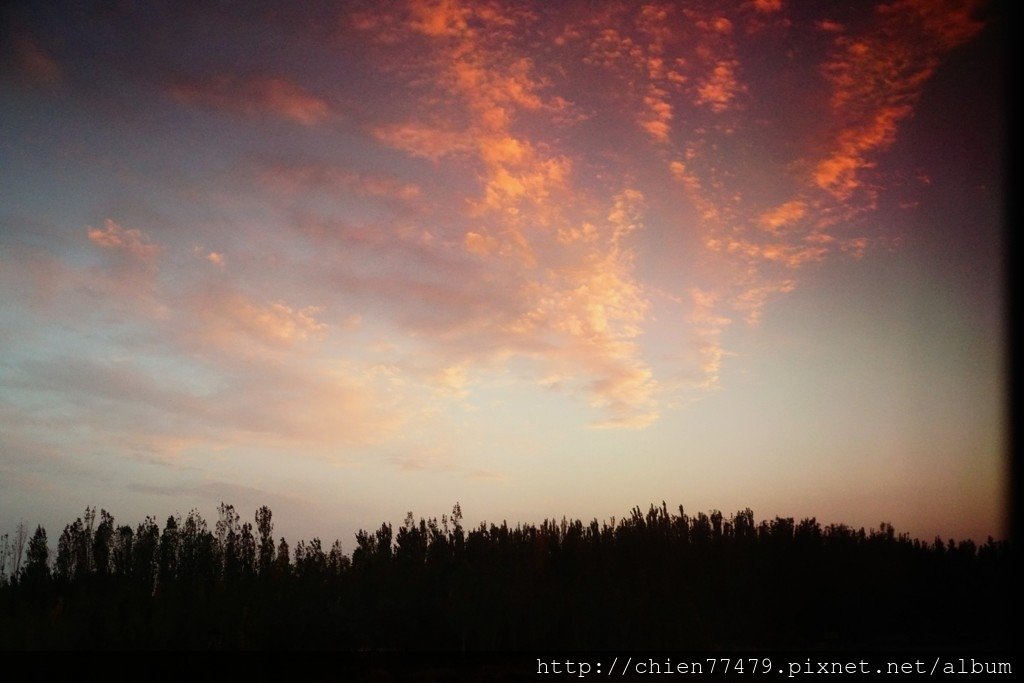 DSC01998.JPG