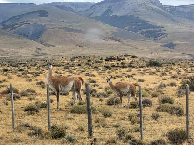 Patagonia Chile &amp; Argentina, S