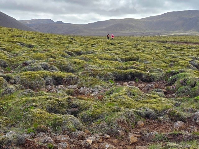 Iceland-Reykjanesand Reykjavík