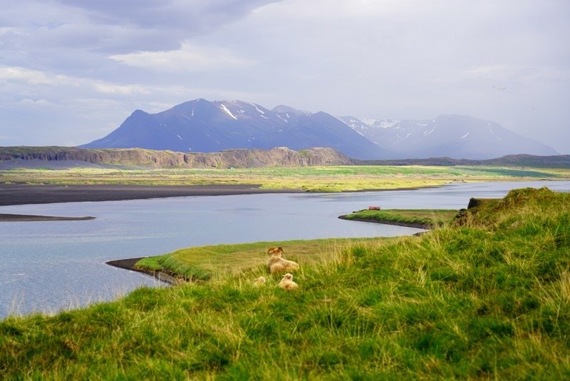 Northwest &amp; Northeast of Icela