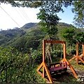 20111218油羅溪森林04