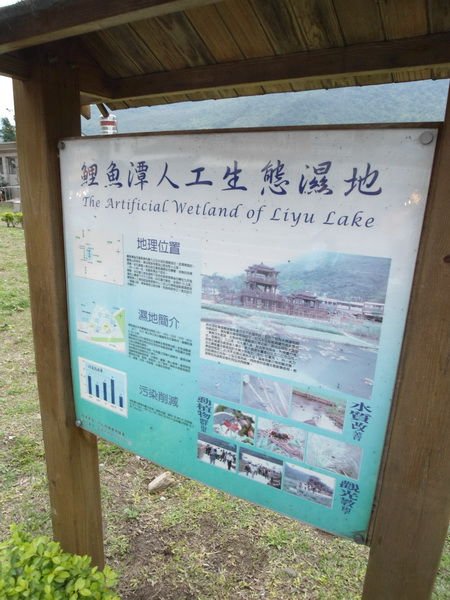 DSC02305.JPG