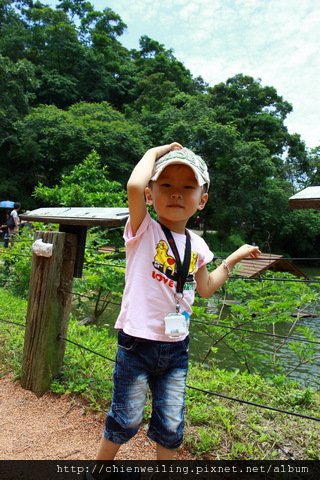IMG_8711.JPG