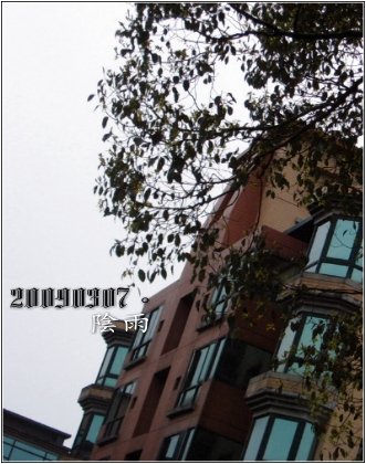 20090307.jpg