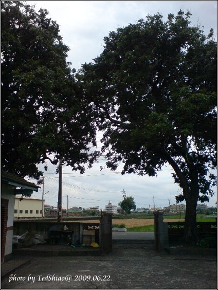 祠堂前