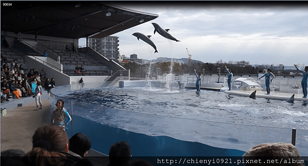 水族館一