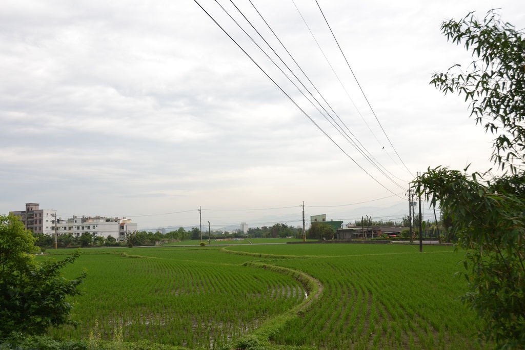 DSC_0066.JPG