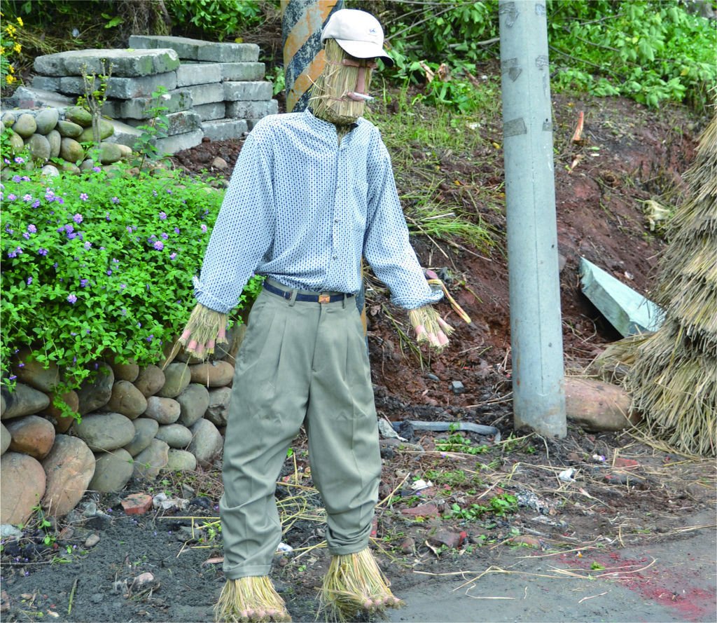 稻草人