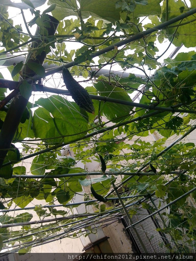 2013.07.29.-10.jpg