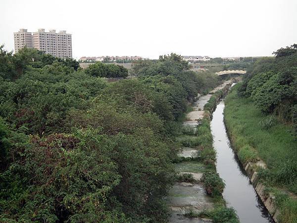 高雄景點_都會公園 (9)