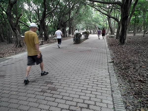 高雄景點_都會公園 (7)