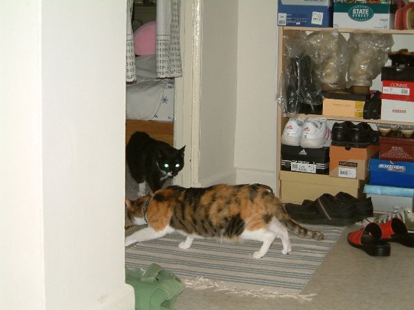 Amy &amp; NiuNiu (1).JPG