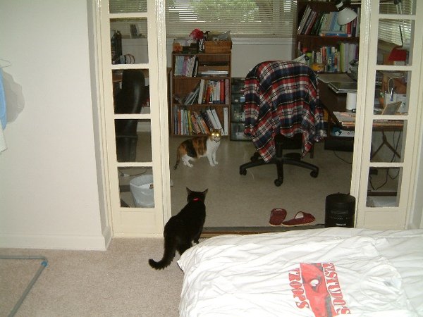 Amy &amp; NiuNiu (2).JPG