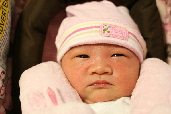 1wk-10.jpg