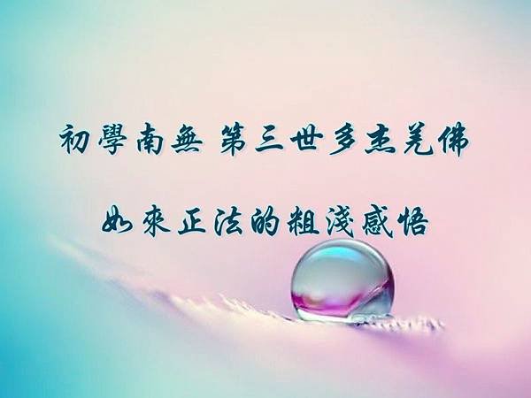 初學南無 第三世多杰羌佛  如來正法的粗淺感悟.jpg