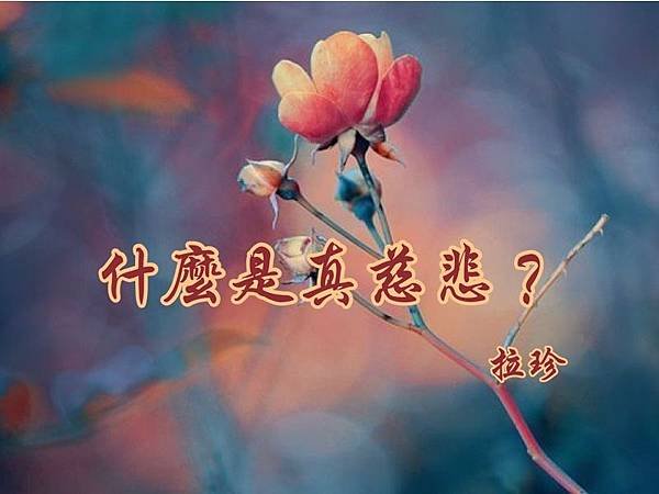 學習H.H.第三世多杰羌佛正法