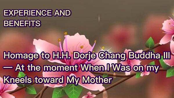 Homage to H.H. Dorje Chang Buddha III— At the moment When I Was on my Kneels toward My Mother.jpg