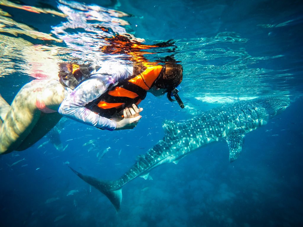 GOPR0236.jpg
