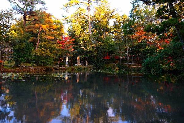 【思思賢嘆世界】金澤兼六園｜打卡紅葉仙境，感受江戶風情