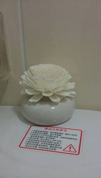 IMAG0354.jpg