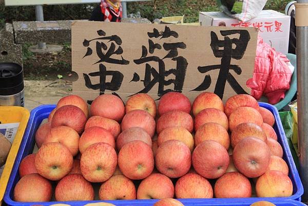 103-1-12桃園~角板山形象商圈,角板山公園