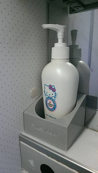 103-11-4長榮航空Hello Kitty 彩繪機