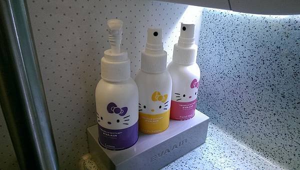 103-11-4長榮航空Hello Kitty 彩繪機