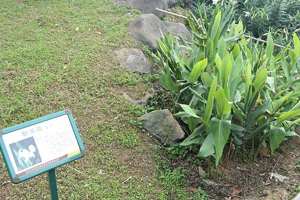 104-04-03三芝~三芝遊客中心及名人文物館