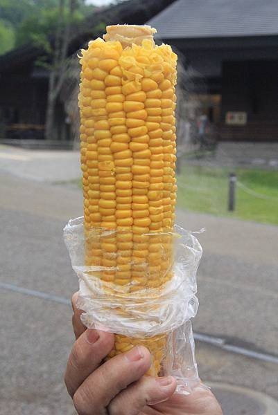 104-06-23~27日本北海道~支芴湖