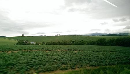 104-06-23~27日本北海道~拼布之路