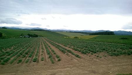 104-06-23~27日本北海道~拼布之路