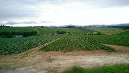 104-06-23~27日本北海道~拼布之路