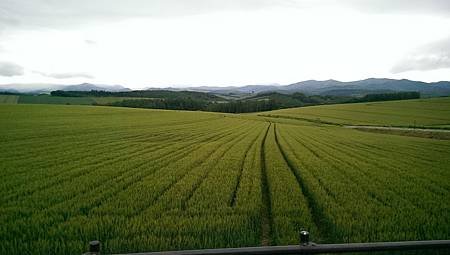 104-06-23~27日本北海道~拼布之路