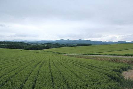 104-06-23~27日本北海道~拼布之路
